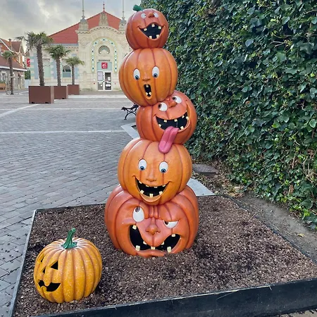 Reves D'ocean Familiale Calme Piscine Et Pataugeoires Partagees 800 M Du Bord De Surf Skate Park